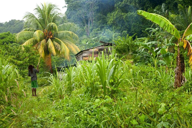 Wandererlebnis Dominica ©wanderluster/istock